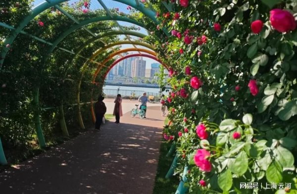 中财所 为什么有的外地人一提到上海，就像吃了兴奋剂一样来劲？