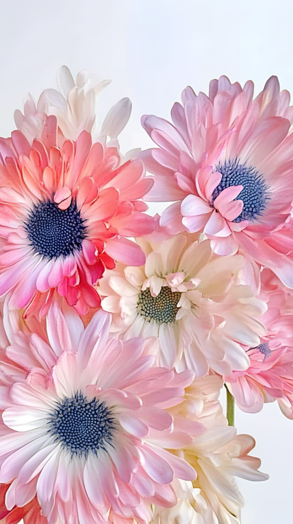 赢在策略 有一种快乐的活法，叫豁达