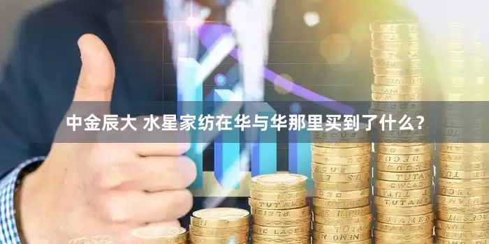 中金辰大 水星家纺在华与华那里买到了什么？