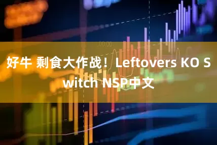 好牛 剩食大作战！Leftovers KO Switch NSP中文